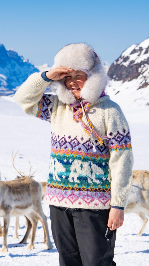 Kvitebjørn polar original