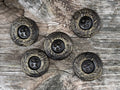 Metallknapp
