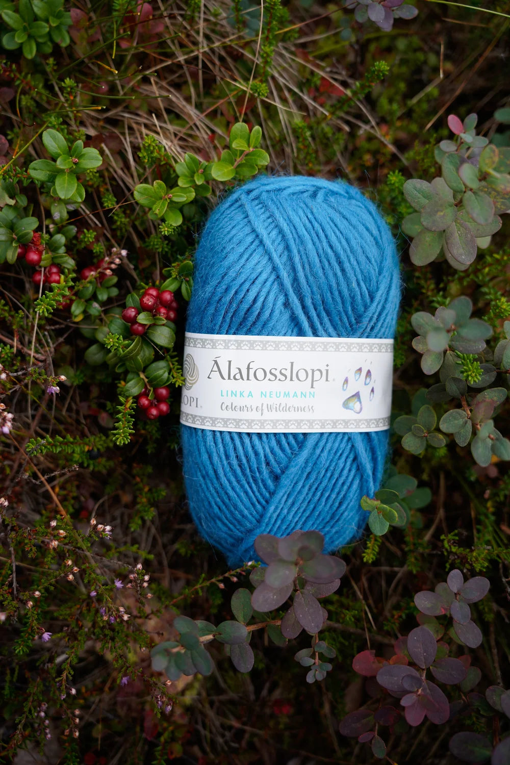 Alafosslopi