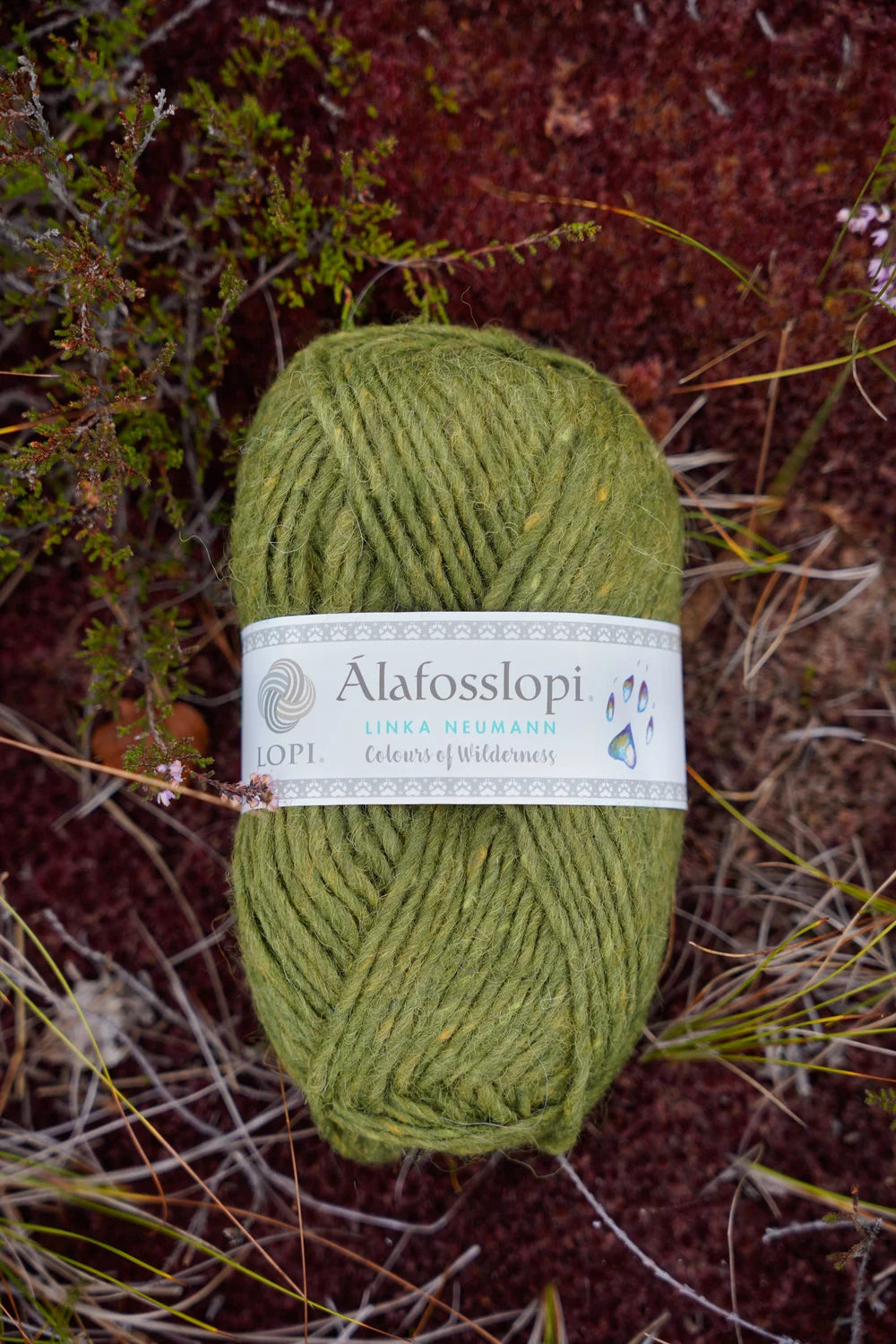 Alafosslopi