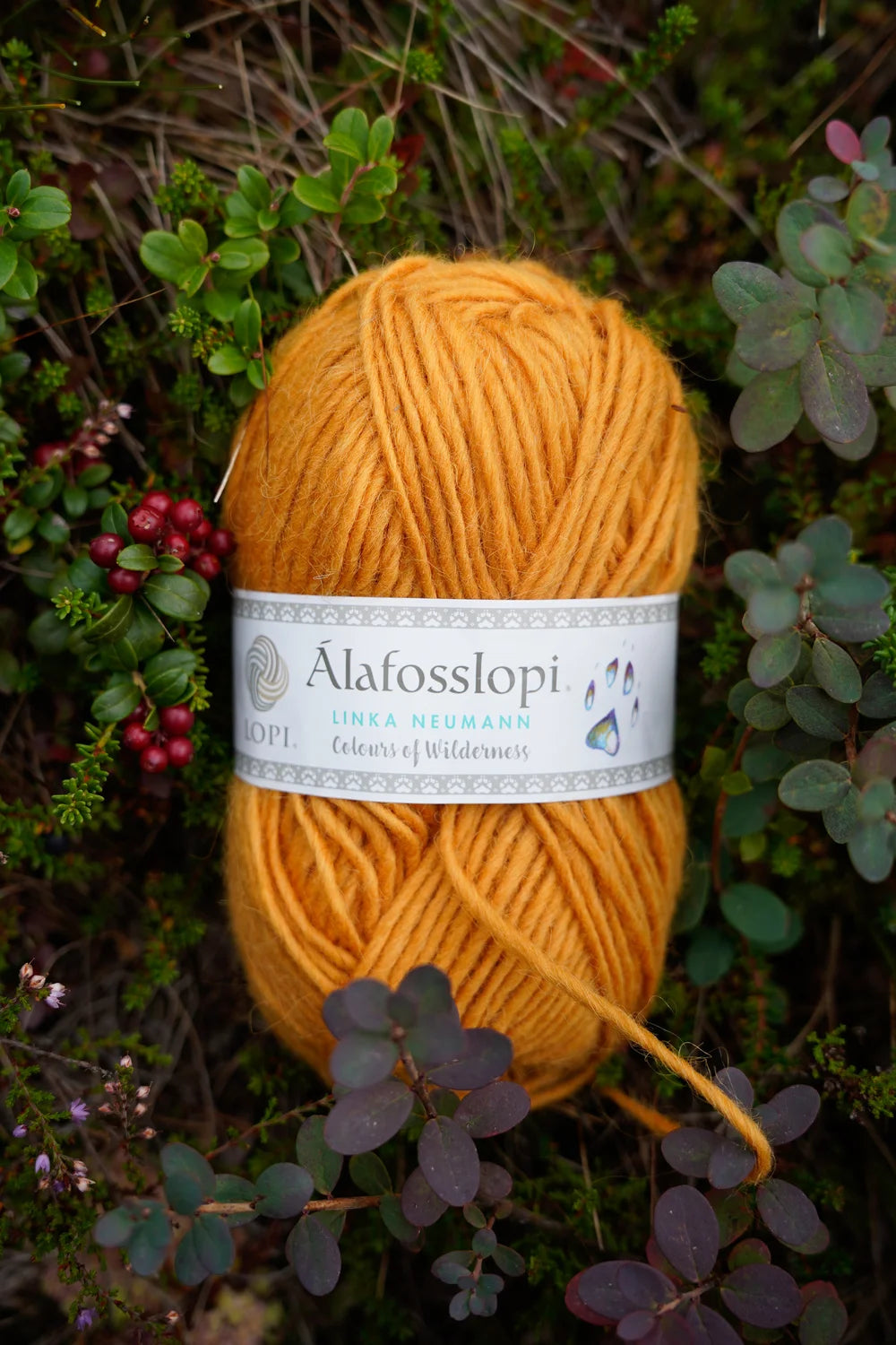 Alafosslopi Colours of Wilderness