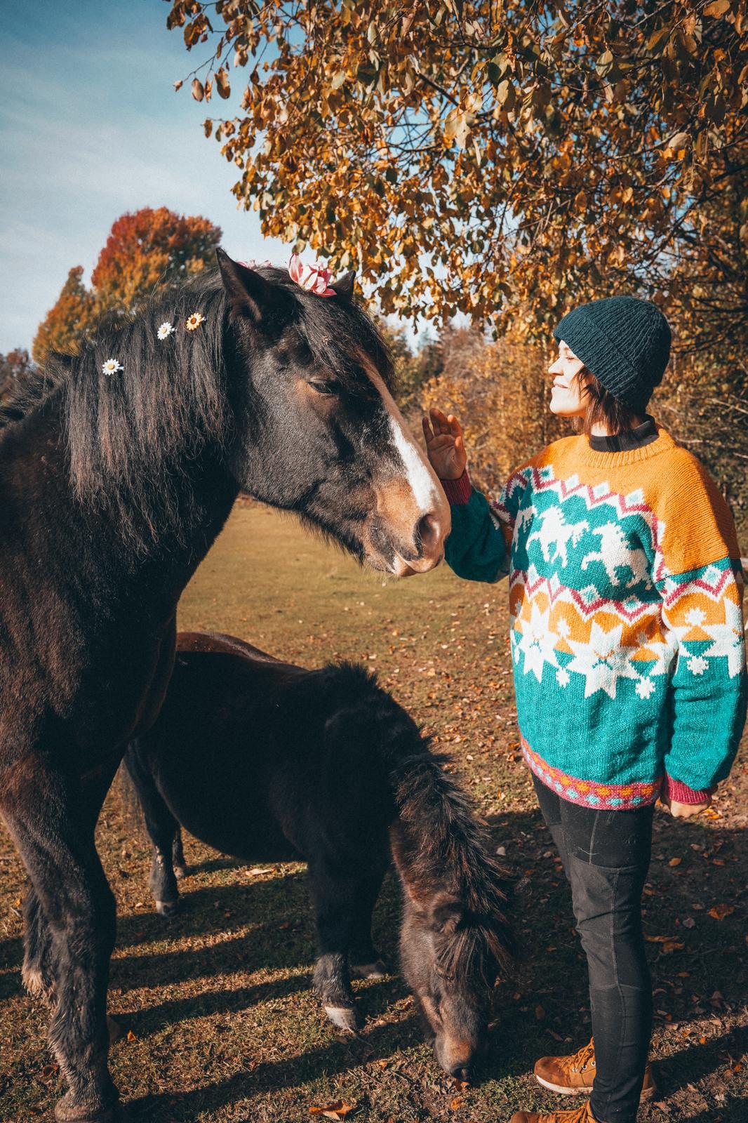 Dølahest Sweater (digital pattern)