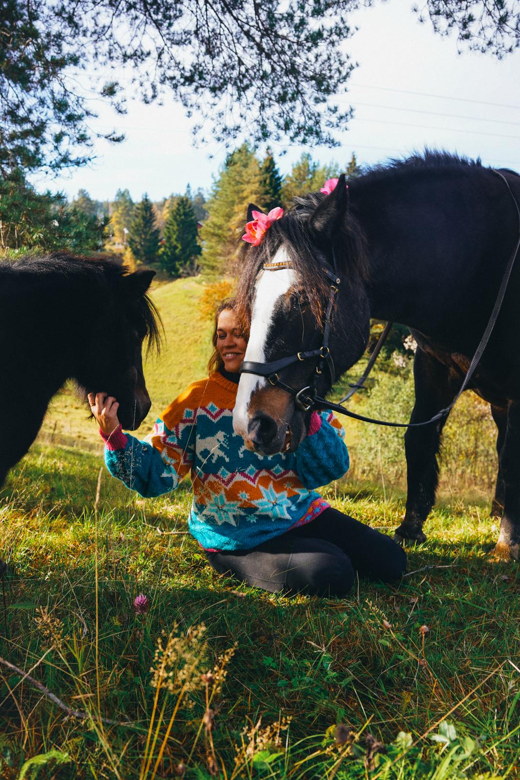 Dølahest Sweater (digital pattern)