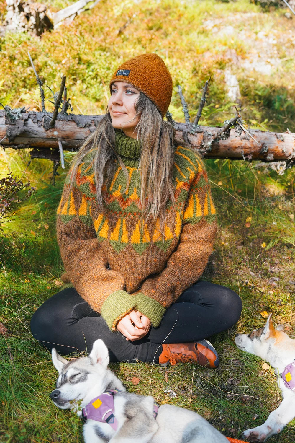 Sjøpapegøye polar Beaver brown