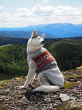 Alasuq hundegenser