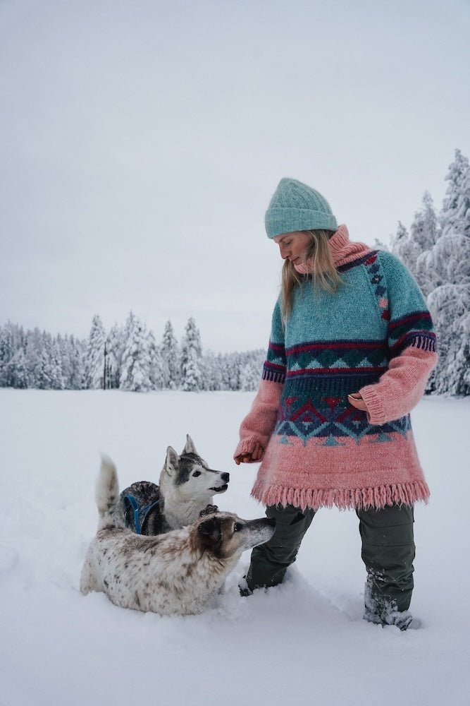 Nenana genser winter morning