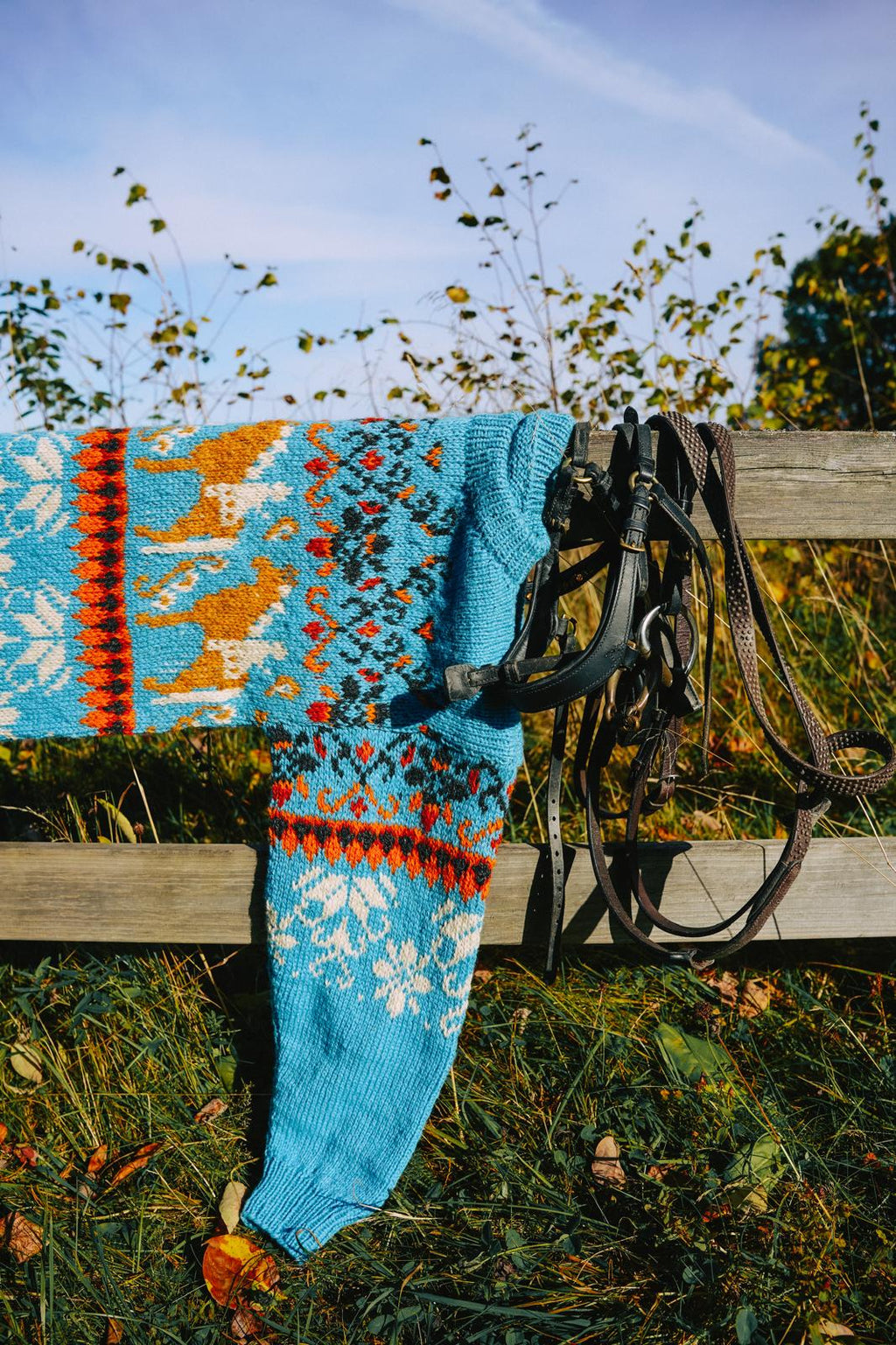 Norwegian Fjord Horse Sweater (digital pattern)