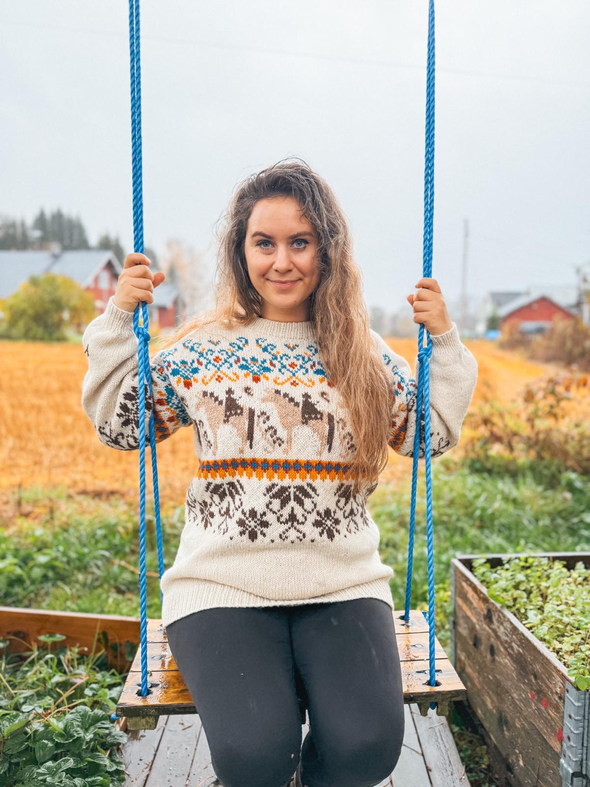 Norwegian Fjord Horse Sweater (digital pattern)