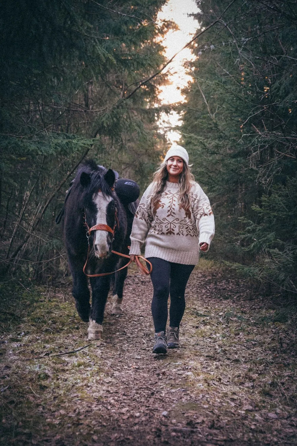 Shadowfax IONA