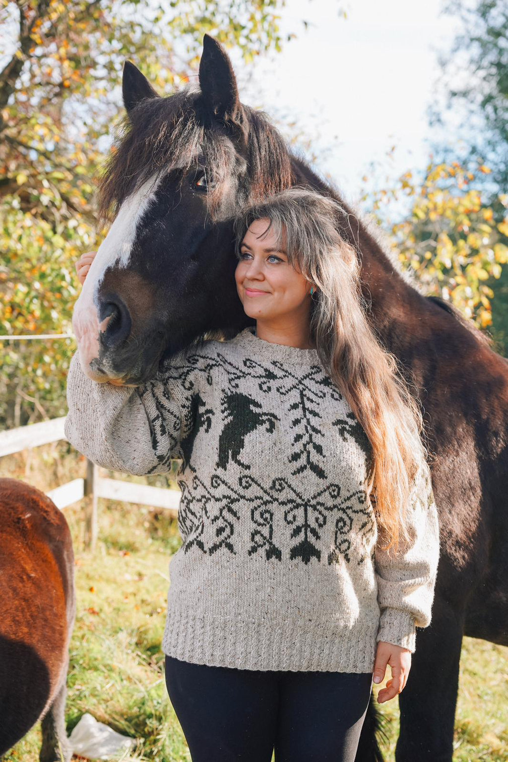 Shadowfax horse sweater (digital pattern)