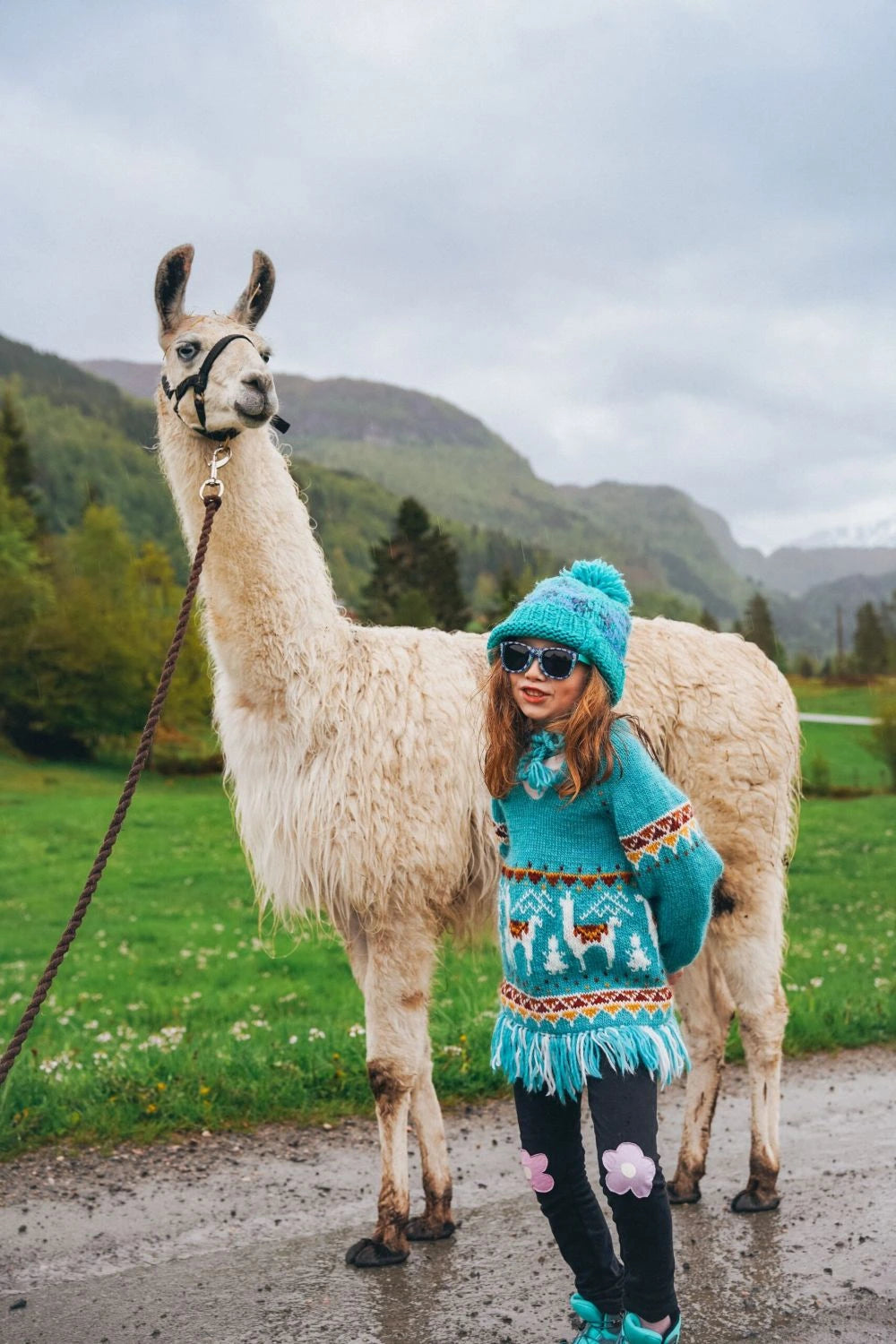 eventyrlama barn turkis fra villmarksgensere av Linka Neumann