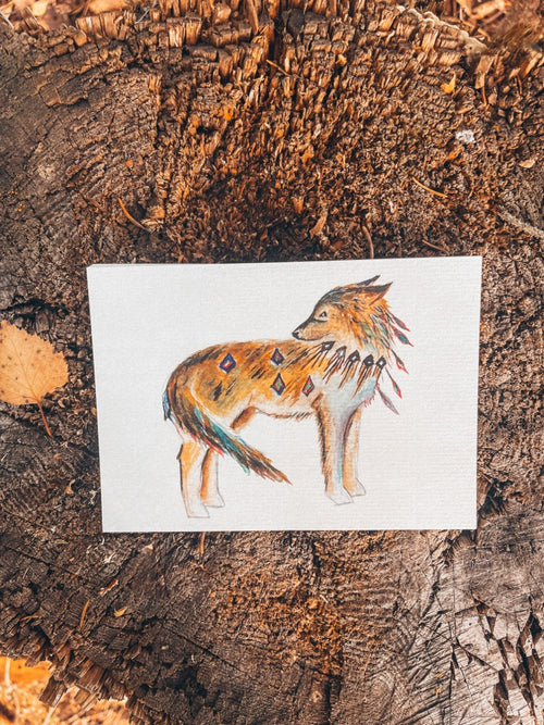 hopi Linka neumann