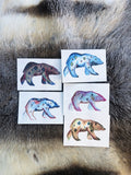 Kvitebjørn 5 pack print