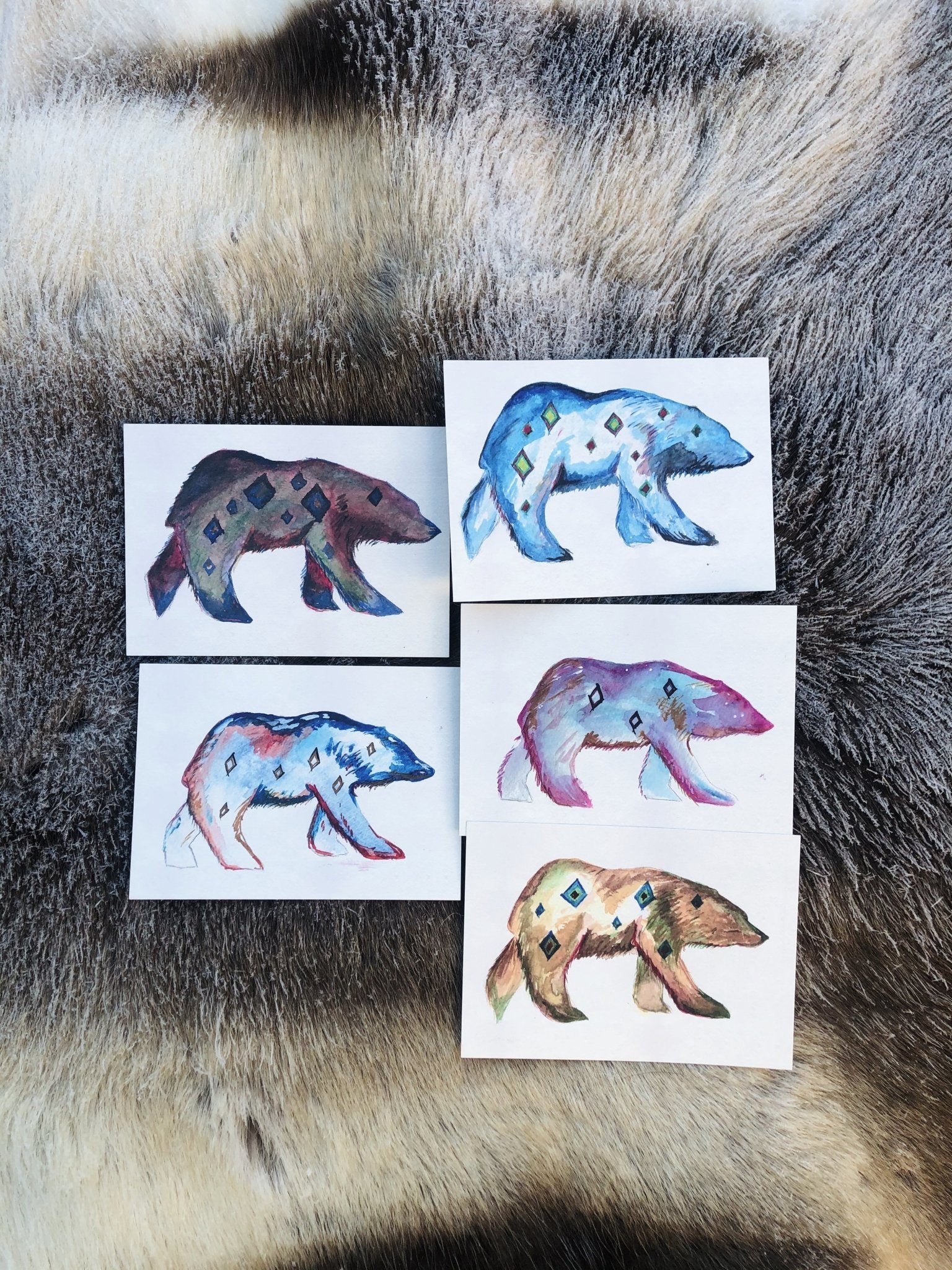 Kvitebjørn 5 pack print