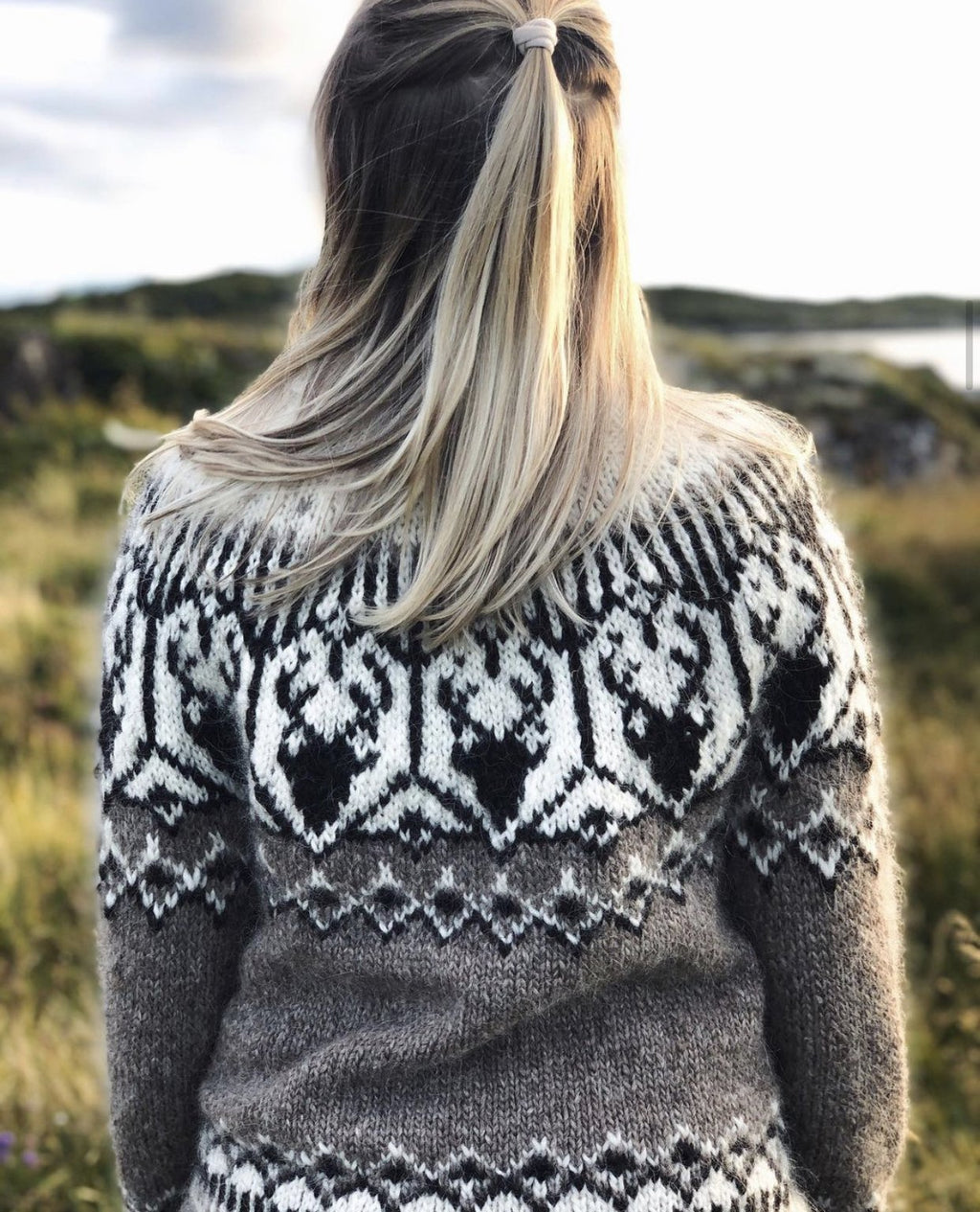 Nordkalottgenser grå