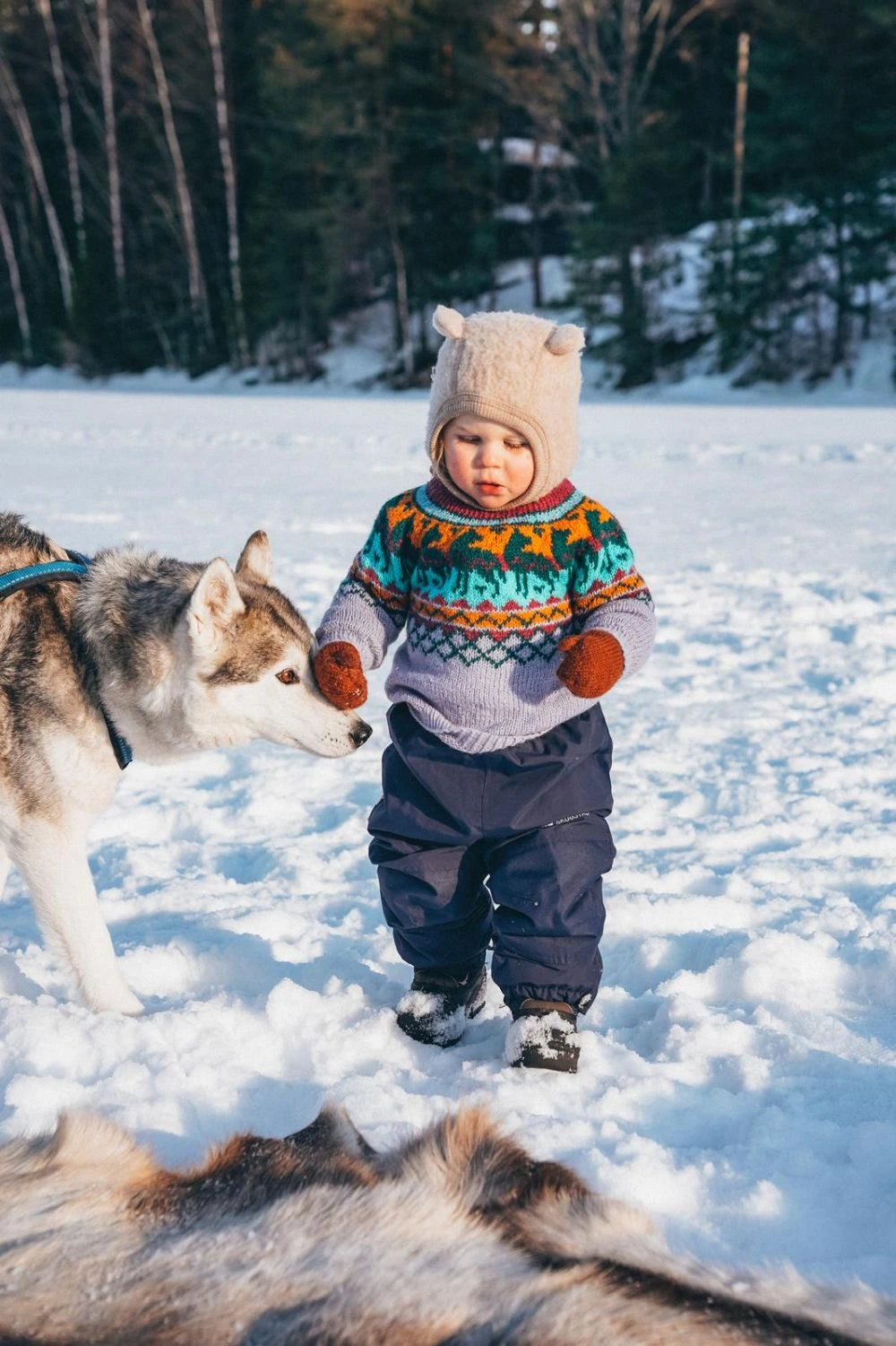 Takotna lys lilla fra Villmarksgensere av Linka Neumann