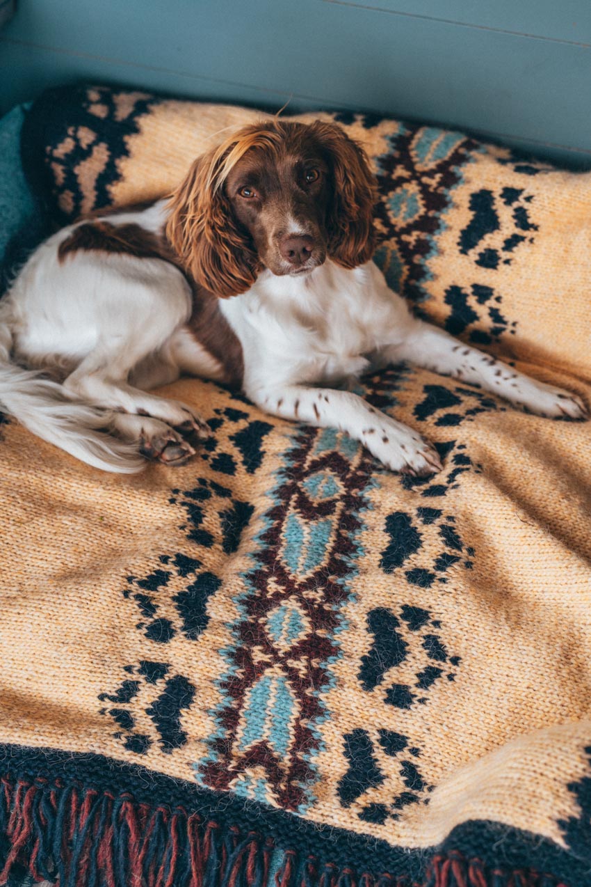Villmarkspledd ray of light