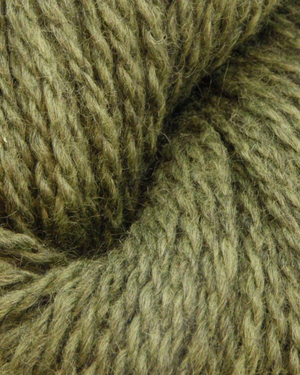 Blue Olive green 672118