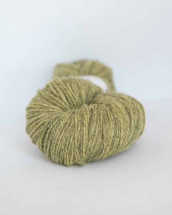 Ash Light Melted Lime 6520