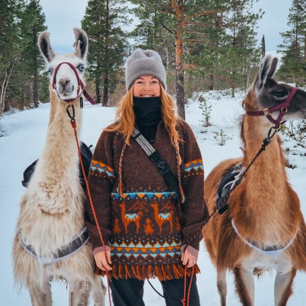 Eventyrlama Garnpakker