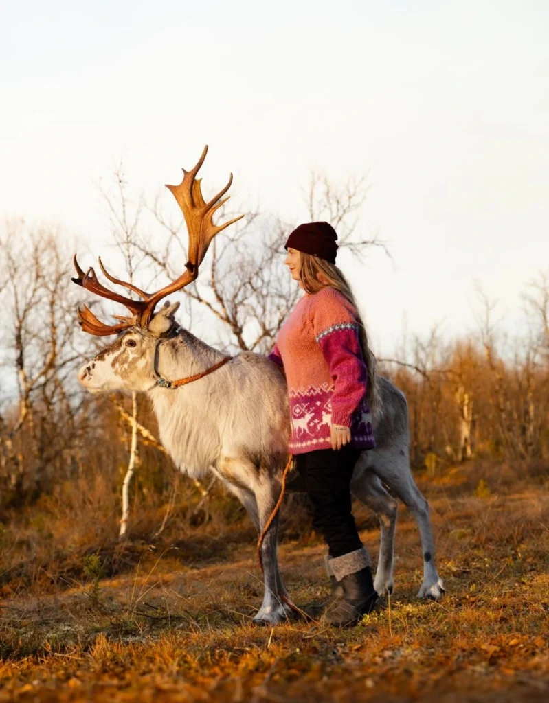 Boazo rosa fra Villmarksgenere av Linka Neumann