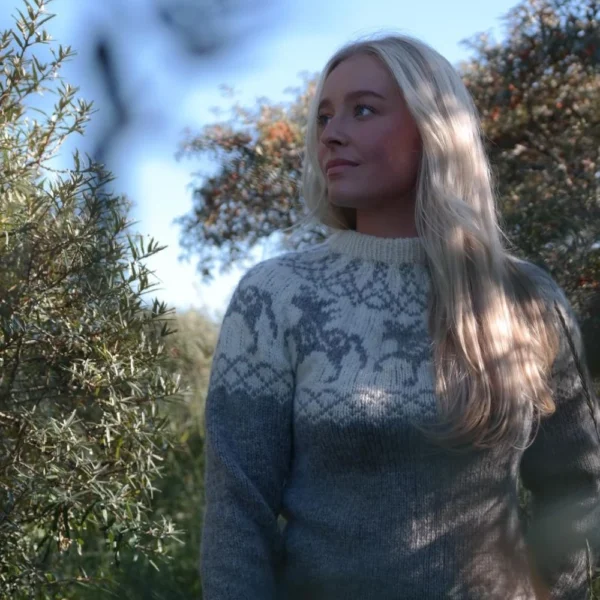 Norse-horse grå melert fra villmarksgensere av Linka Neumann