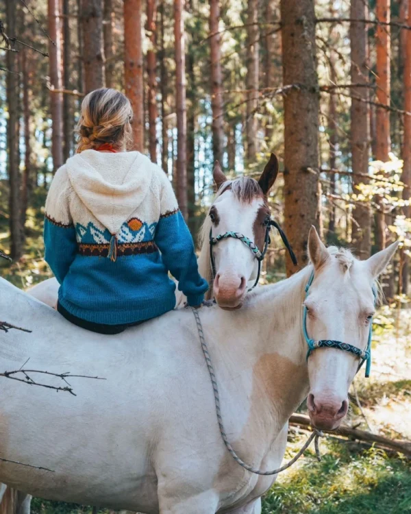 Harilagenser minimalistisk lys bondeblå fra Villmarksgensere av Linka Neumann